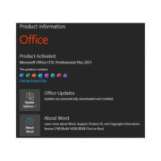 office-2021-pro-plus (1)